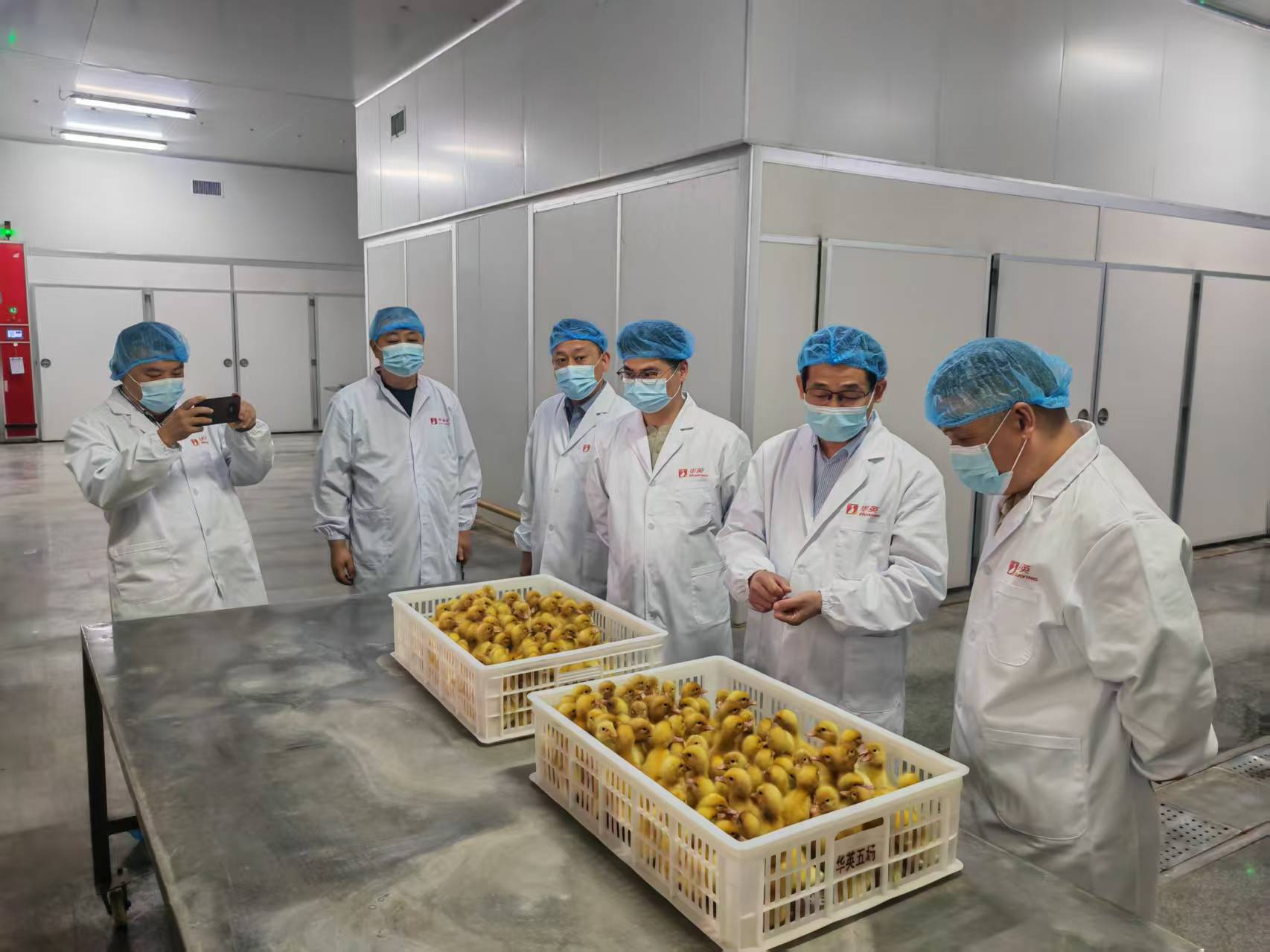 桂花鸭集团新一任领导班子赴河南华英农业开展商务考察